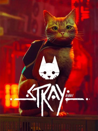 Stray